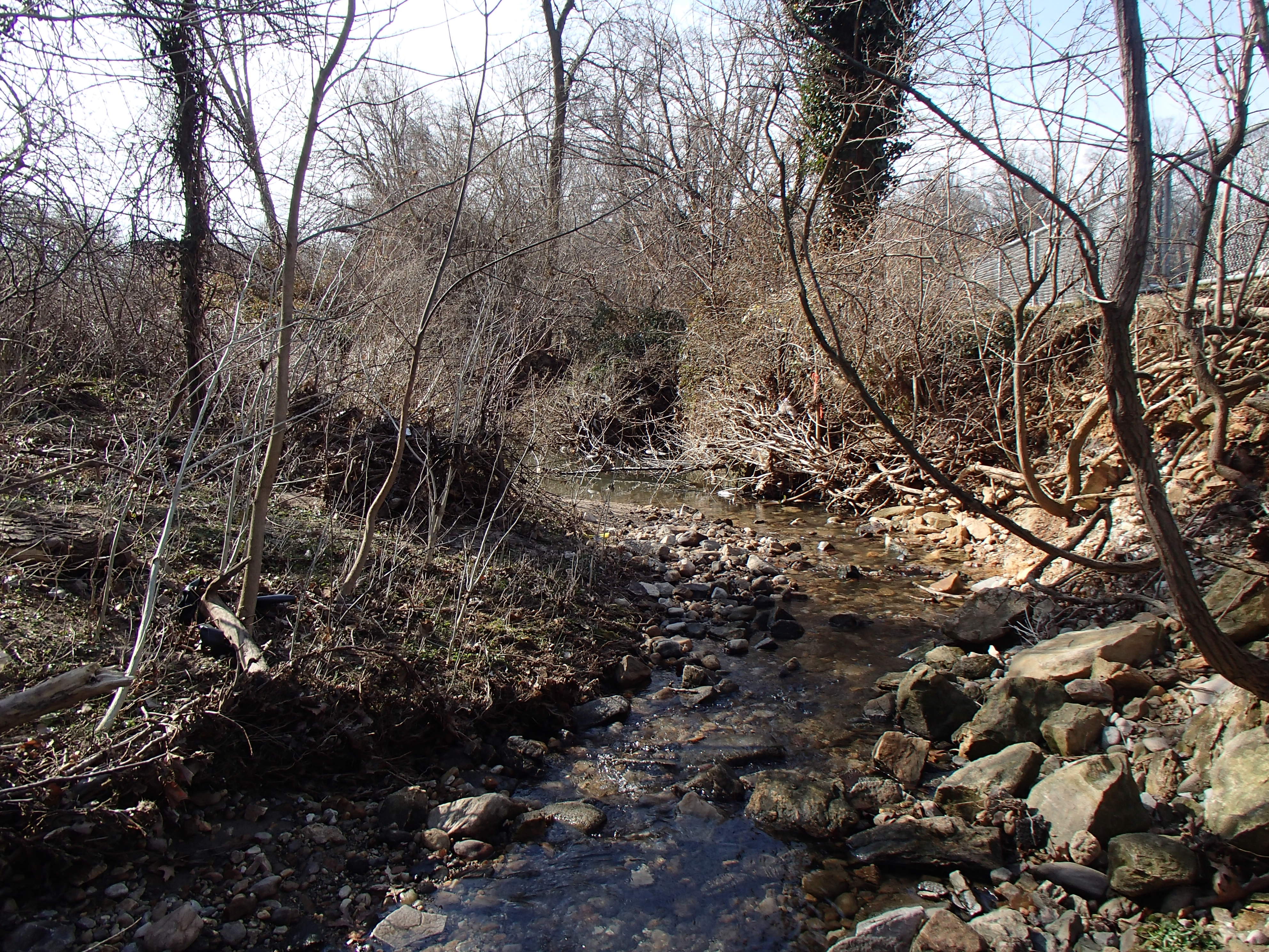 Field photo showing stream conditions at site BACK-101-R-2016_midpoint downstream